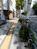 建物前の歩道