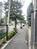 街路樹のある歩道