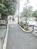 街路樹のある通り