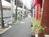 街路樹のある歩道