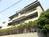 駐車場上に並ぶ植え木