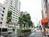 街路樹のある通り
