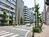街路樹のある通り