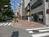 木々の立ち並ぶ、気持ちの良い道路です