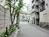 街路樹のある通り