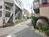 十字路に立地しています