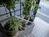 植物が多いのは良いですね
