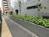 歩道との間には植込みがあります