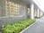 植木の整備された敷地内