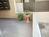 小さな観葉植物がお客様をお出迎えしてくれます