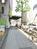 街路樹のある通り