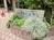 ビル名が表記された看板です。植物に囲まれています