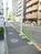 玄関前の歩道です