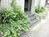 植栽の多い玄関回り