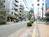 街路樹のある歩道