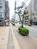 綺麗に舗装された歩道