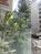 TORIO TOWER NORTH