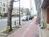 街路樹のある通り