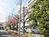敷地内に桜が咲いております