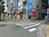 物件前面の歩道です