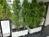 正面にある植栽です