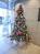 エントランス入口付近にあるクリスマスツリーです