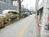 街路樹の点在する前面歩道