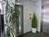 植栽の置いてあるエントランスです