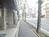 街路樹のある通り