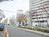 街路樹のある通り