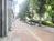 街路樹のある歩道