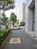 植樹された綺麗な歩道
