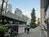 物件前の渋谷方向