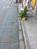 綺麗な歩道