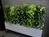 植物があるのは嬉しいですね