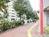 街路樹のある通り