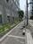歩道沿いには植込みが設置されています