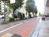 玄関前の舗装された歩道