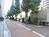 街路樹の立ち並ぶ前面歩道