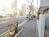 街路樹のある通り