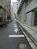 北側の道路です