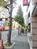 街路樹のある歩道