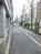 街路樹のある通り
